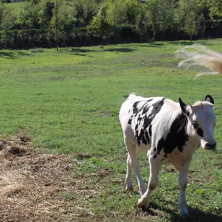 アパート Sweet Grottarossa ローマ