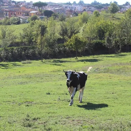 Sweet Grottarossa アパート