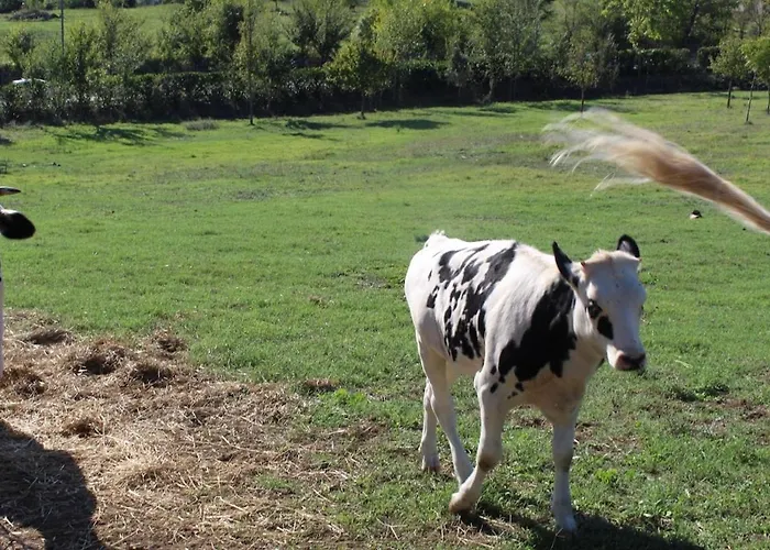 アパート Sweet Grottarossa ローマ