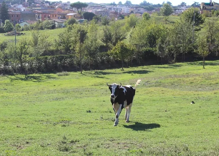 Sweet Grottarossa アパート